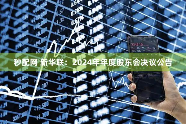 秒配网 新华联：2024年年度股东会决议公告