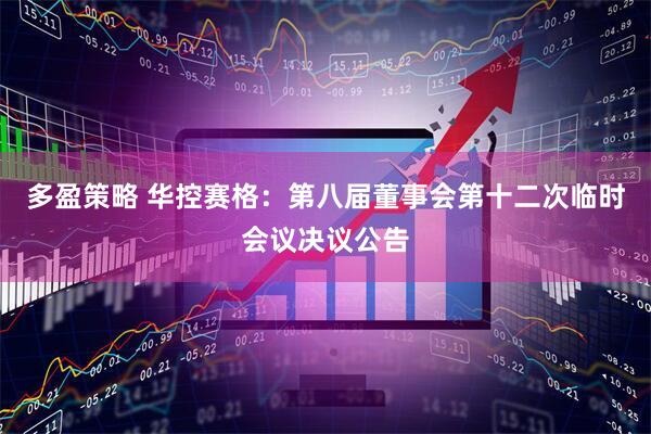 多盈策略 华控赛格：第八届董事会第十二次临时会议决议公告