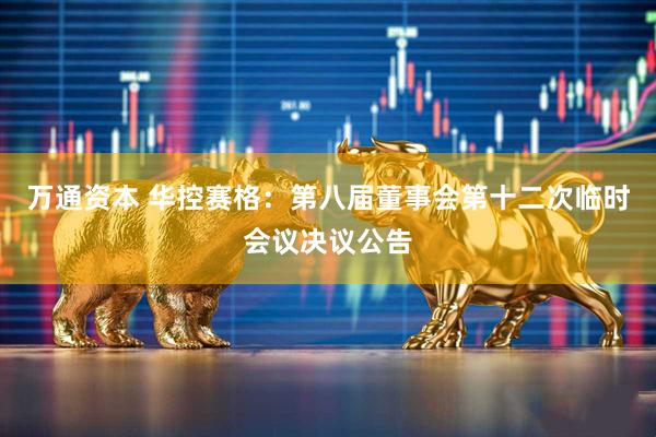 万通资本 华控赛格：第八届董事会第十二次临时会议决议公告