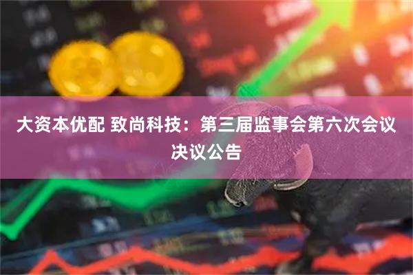 大资本优配 致尚科技：第三届监事会第六次会议决议公告