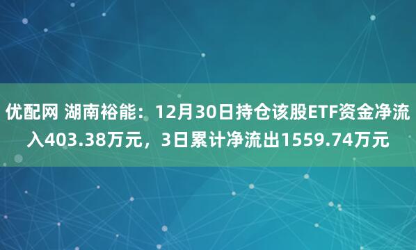 优配网 湖南裕能：12月30日持仓该股ETF资金净流入403.38万元，3日累计净流出1559.74万元