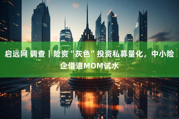 启远网 调查｜险资“灰色”投资私募量化，中小险企借道MOM试水