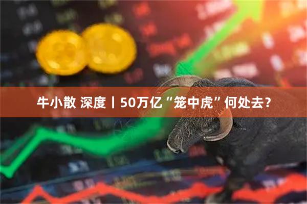 牛小散 深度丨50万亿“笼中虎”何处去？
